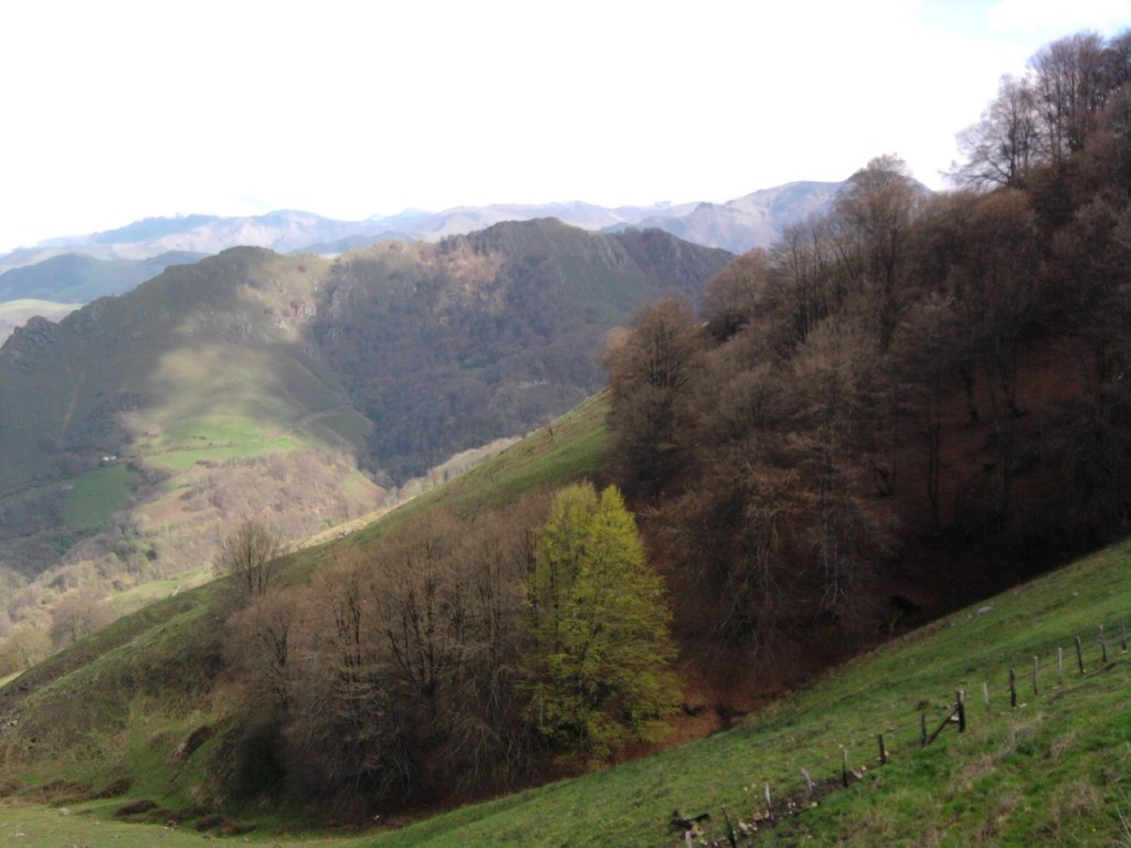 Conques Pampelune 2012 avril photo_089.jpg